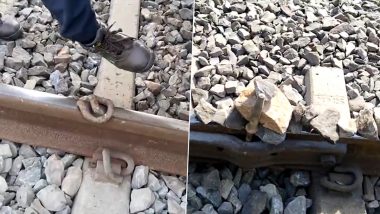 Vande Bharat Train Makes Emergency Stop: राजस्थानमध्ये रुळावर दगड सापडल्याने आपत्कालीनरित्या थांबवण्यात आली वंदे भारत ट्रेन, Watch Video
